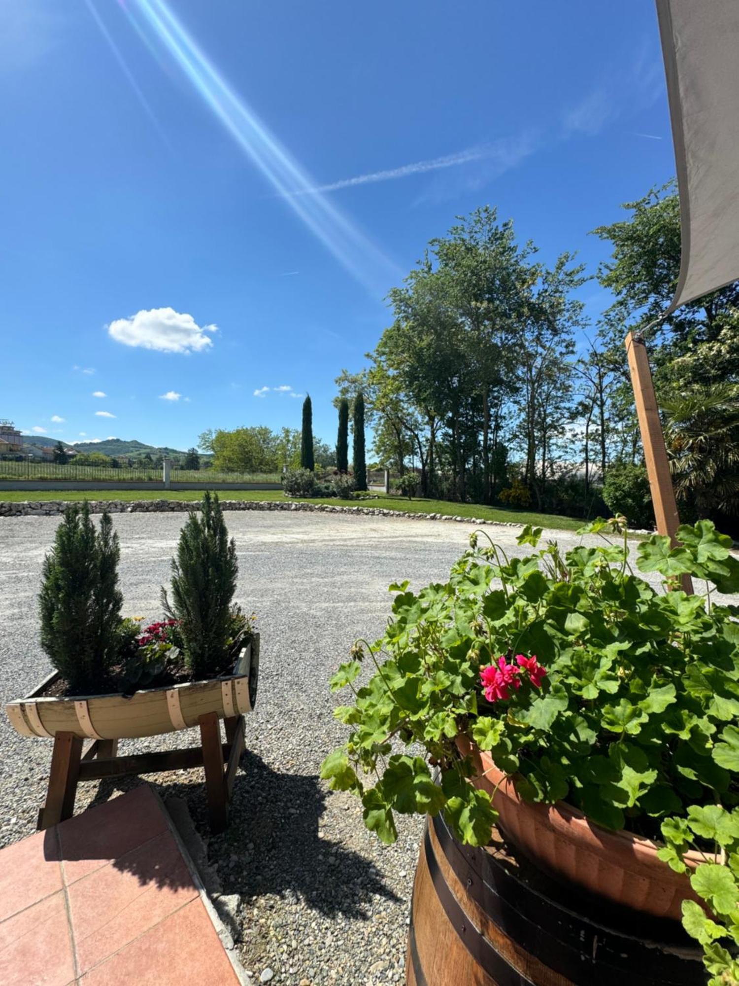 Casale Auriga - Oltrepo' Pavese Bed & Breakfast Codevilla ภายนอก รูปภาพ